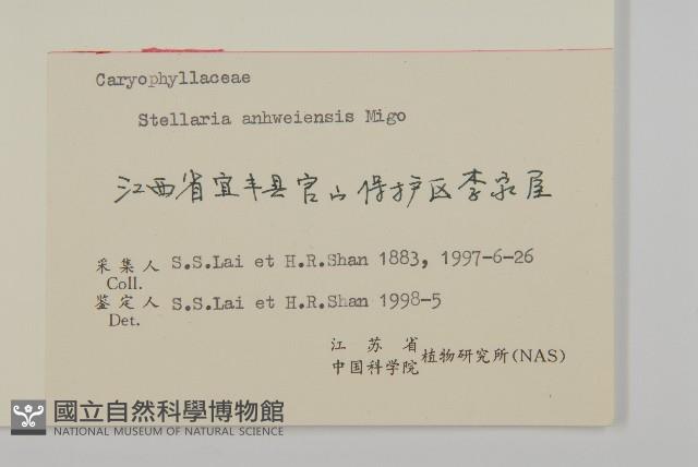 安徽繁縷藏品圖，第3張