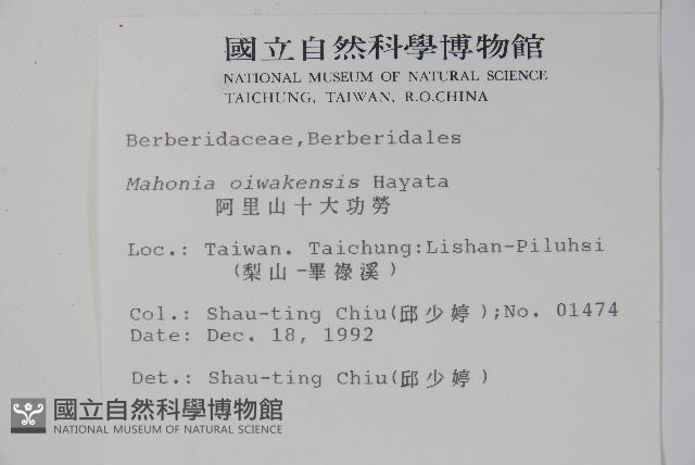 阿里山十大功勞藏品圖，第2張