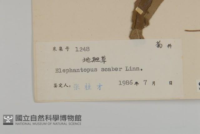 燈豎朽藏品圖，第3張