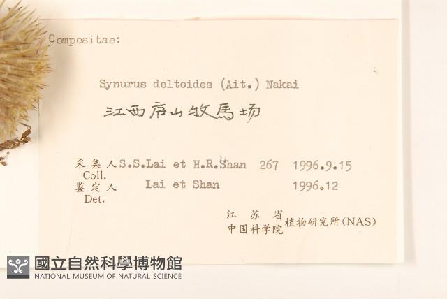 山牛旁藏品圖，第3張