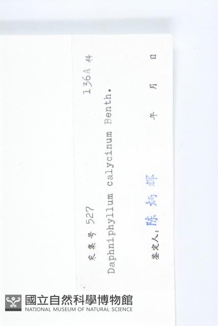 牛耳楓藏品圖，第3張