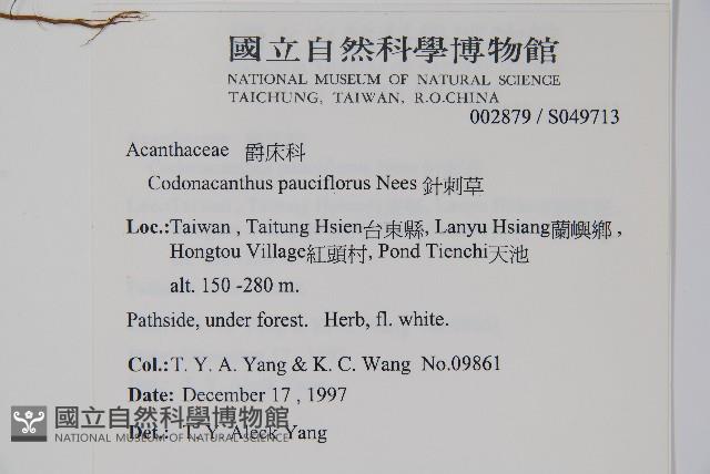 針刺草藏品圖，第2張