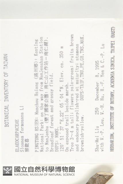 猴歡喜藏品圖，第2張