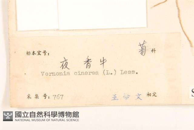 一枝香藏品圖，第3張