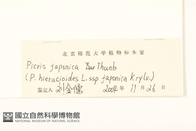 毛蓮菜藏品圖，第3張