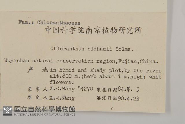 臺灣及己藏品圖，第2張