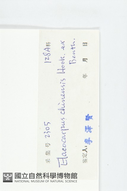 華杜英藏品圖，第3張