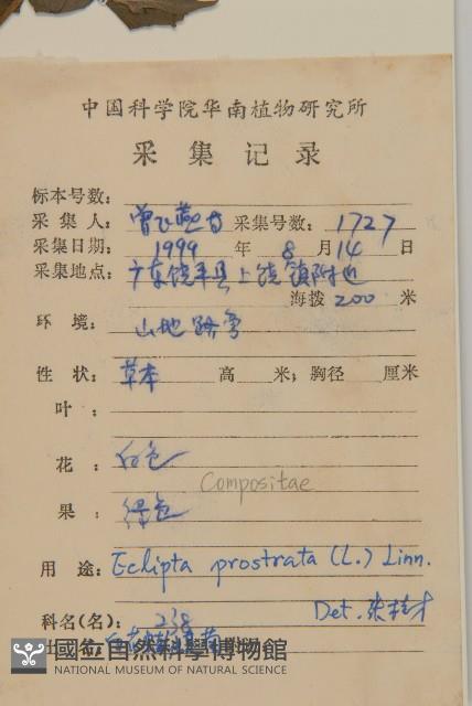 鱧腸藏品圖，第2張