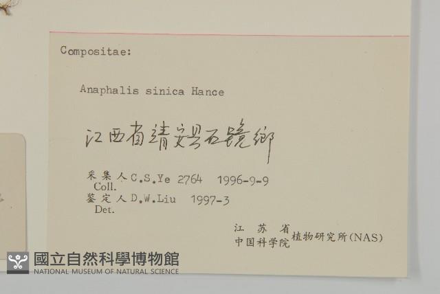 香青藏品圖，第3張