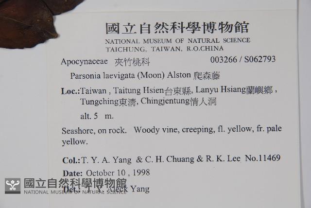 爬森藤藏品圖，第2張