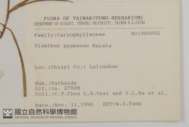 玉山石竹藏品圖，第2張