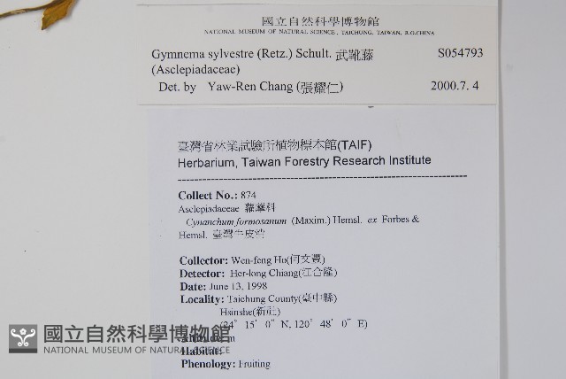 武靴藤藏品圖，第2張