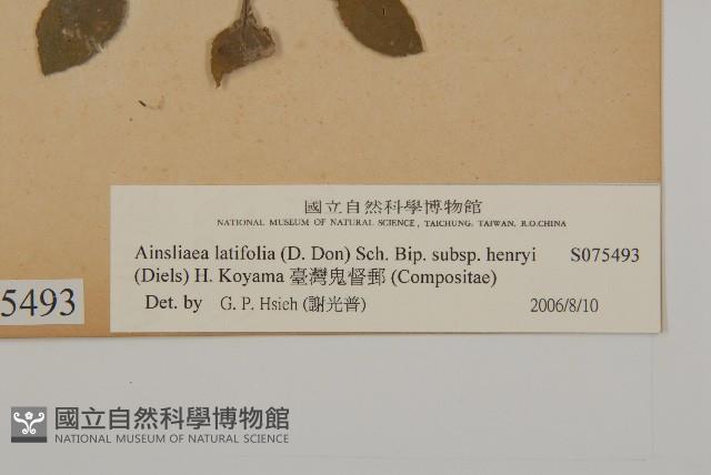 臺灣鬼督郵藏品圖，第3張