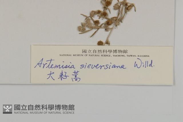 大耔蒿藏品圖，第3張