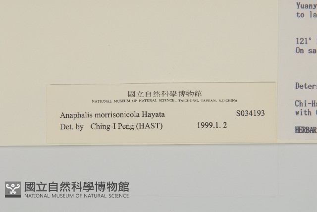 玉山抱莖籟簫藏品圖，第3張