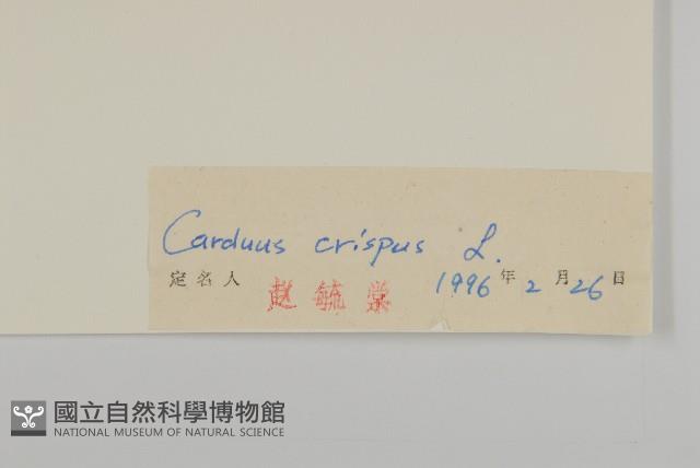 飛廉藏品圖，第3張