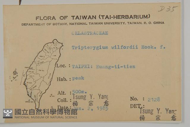 雷公藤藏品圖，第2張