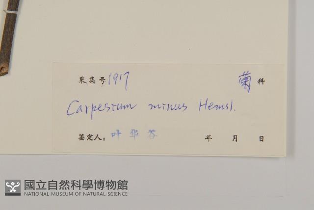 細川氏天名精藏品圖，第3張