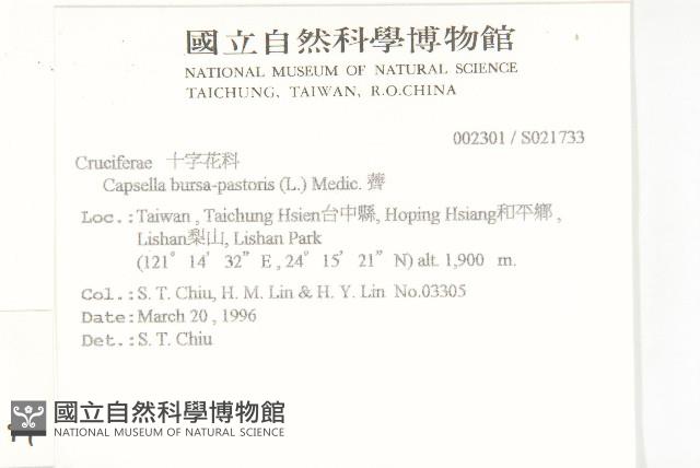 薺藏品圖，第2張