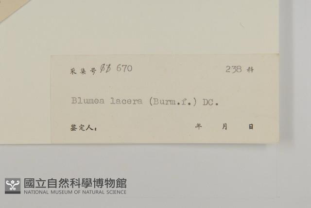 生毛將軍藏品圖，第3張