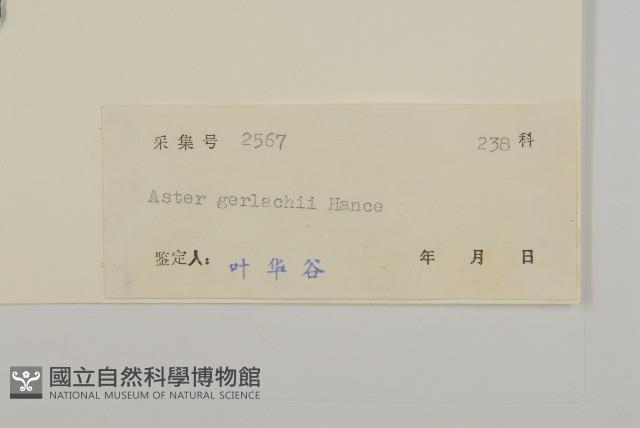 登錄號:S041433藏品圖，第3張