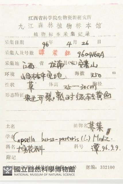 薺藏品圖，第2張