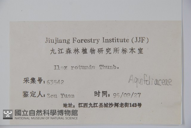 鐵冬青藏品圖，第2張