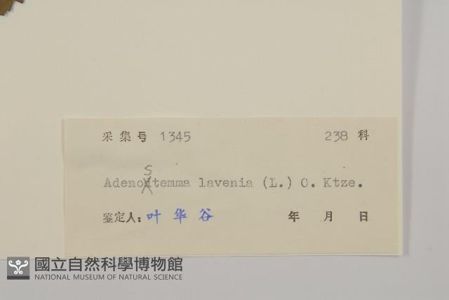 下田菊藏品圖，第3張