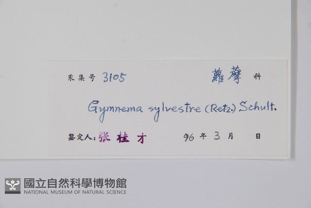 武靴藤藏品圖，第2張