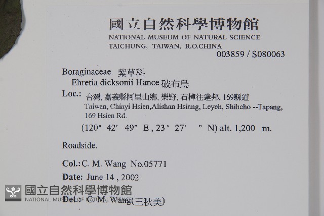 破布烏藏品圖，第2張