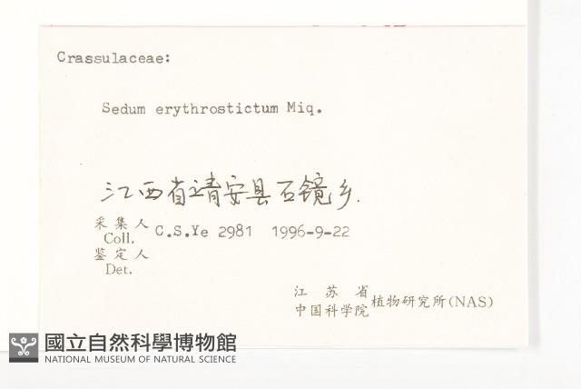 景天藏品圖，第3張