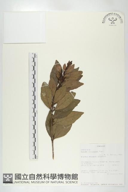 登錄號:S093463藏品圖，第3張