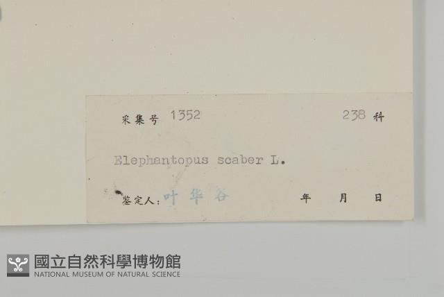 燈豎朽藏品圖，第3張