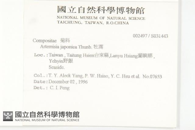 牡蒿藏品圖，第2張