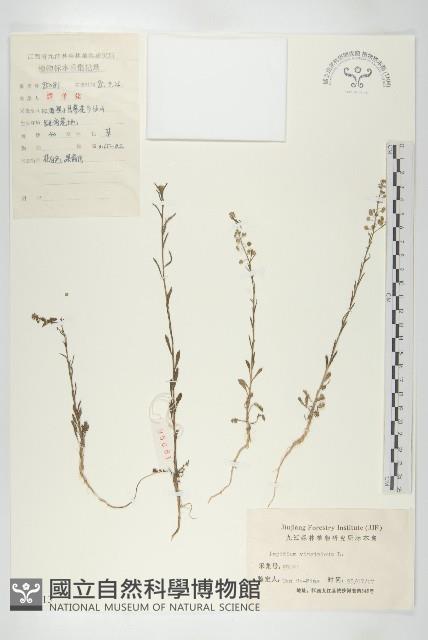 登錄號:S081443藏品圖，第3張