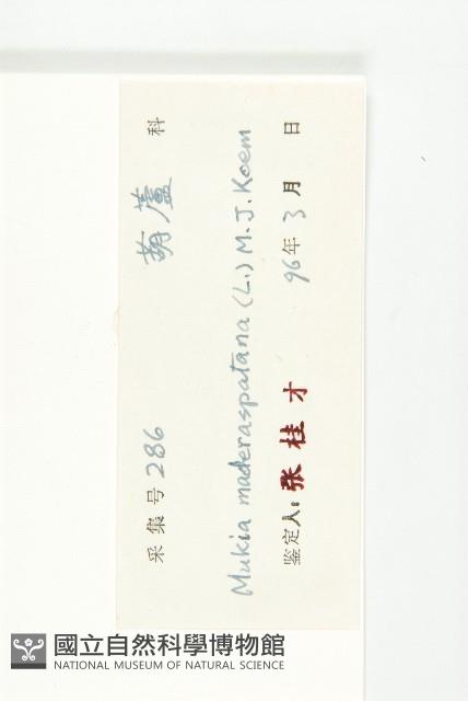 天花藏品圖，第3張