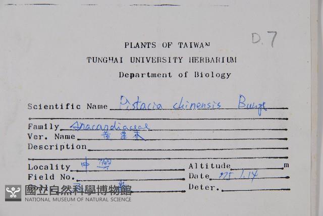 黃連木、爛心木藏品圖，第2張