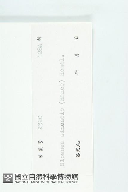 猴歡喜藏品圖，第3張