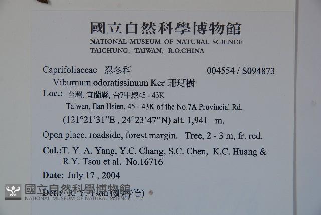 珊瑚樹藏品圖，第2張