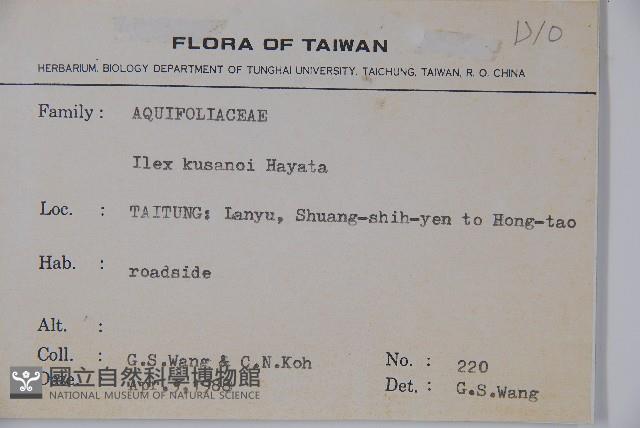 草野氏冬青藏品圖，第2張