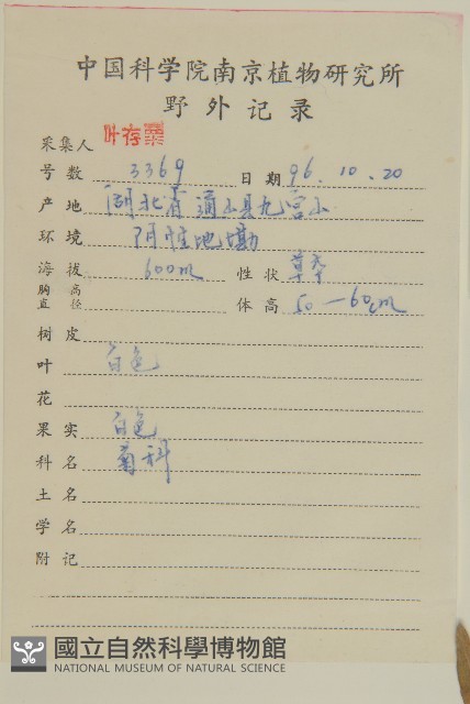 牛乳榕藏品圖，第2張