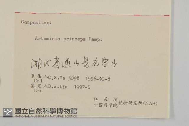 魁蒿藏品圖，第3張