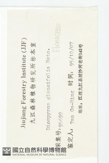 浙江柿藏品圖，第3張