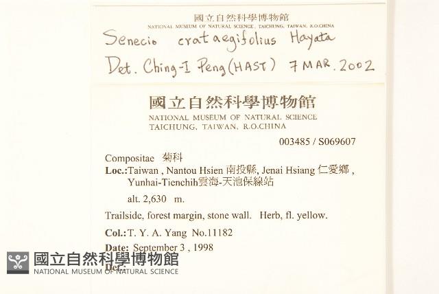 小蔓黃苑藏品圖，第2張