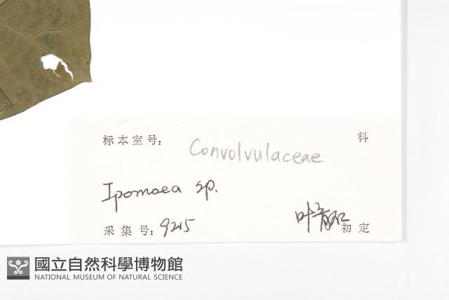 登錄號:S128707藏品圖，第3張