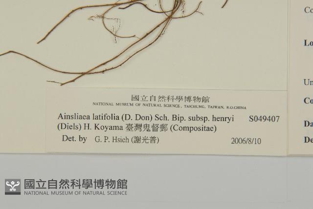 Accession Number:S049407 Collection Image, Figure 3, Total 3 Figures