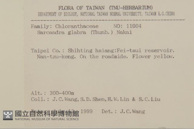 草珊瑚、紅果金粟蘭藏品圖，第2張