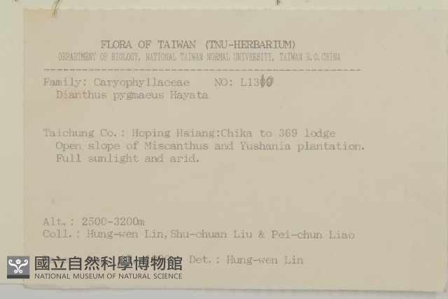 玉山石竹藏品圖，第2張