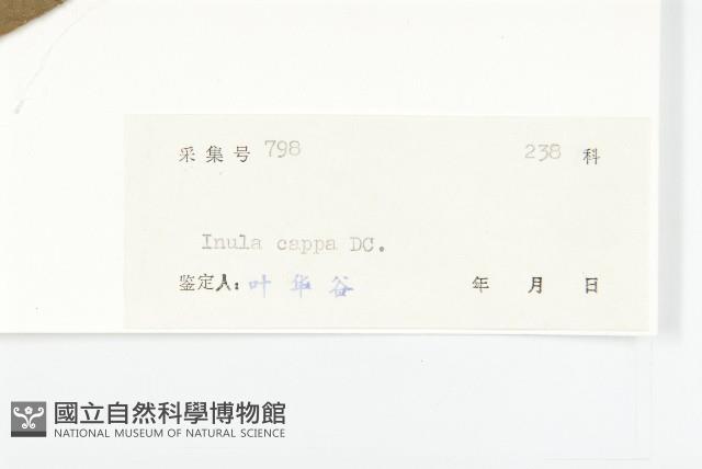 Accession Number:S038507 Collection Image, Figure 3, Total 3 Figures