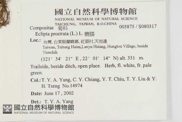 鱧腸藏品圖，第2張